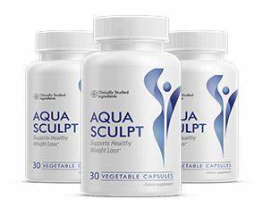 AquaSculpt